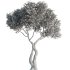 Tree Set38 - Thumbnail 4