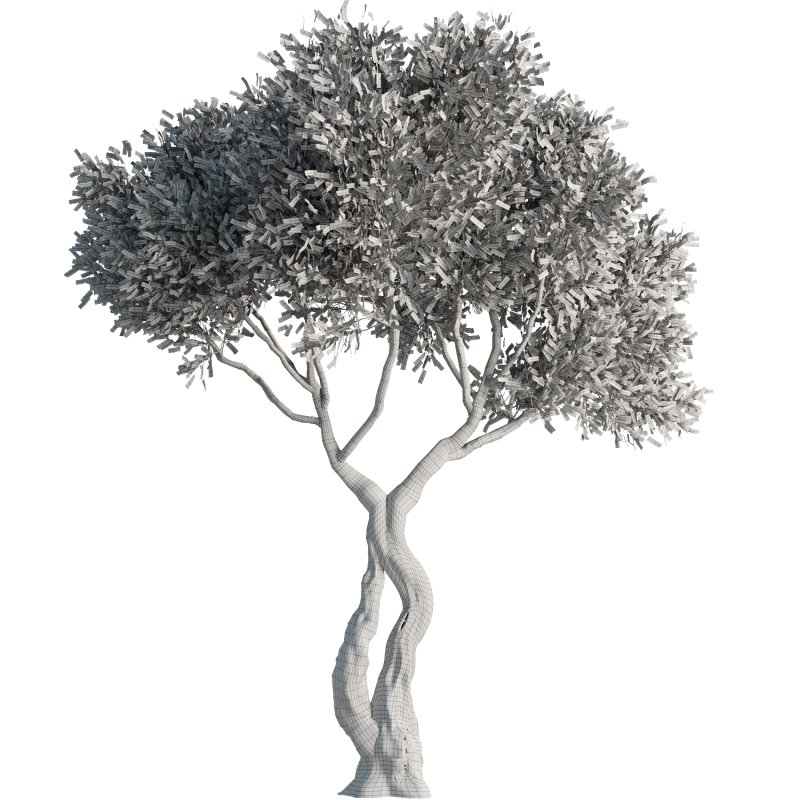 Tree Set38 - Image 4