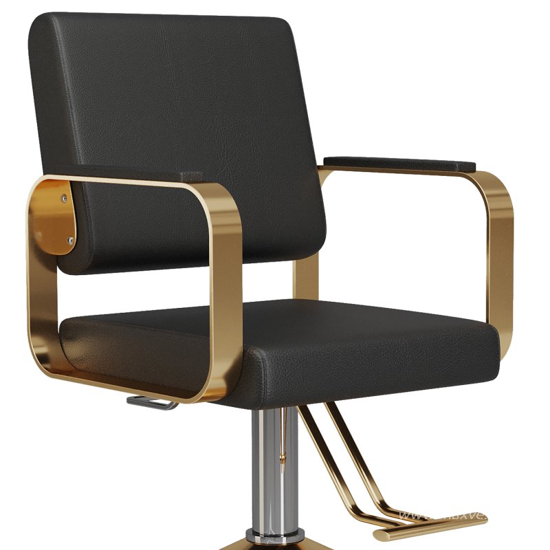 Hydraulic Salon Chair - Image 4