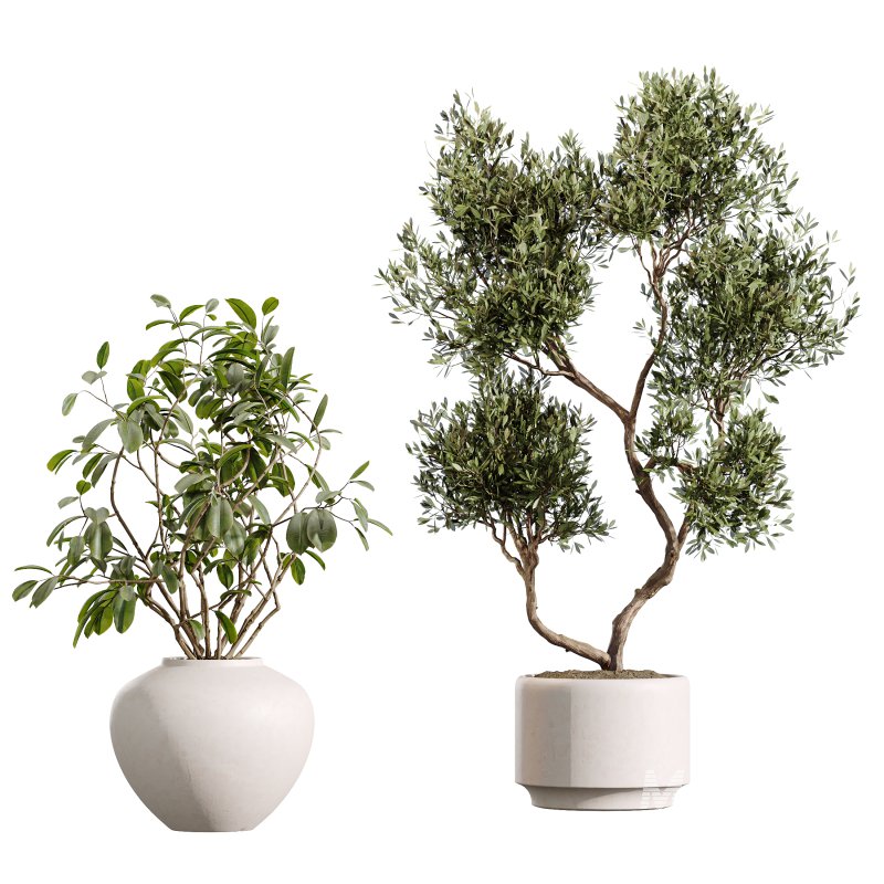 AV Indoor Plants Set 388 - Image 7