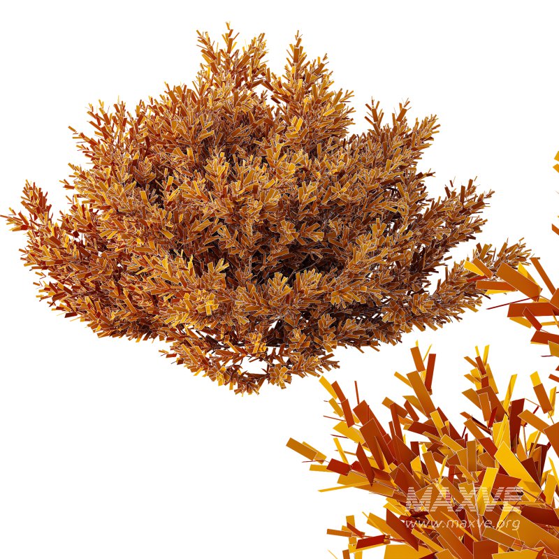 ntal olive shrubs designed for realistic architectural visualization and Mediterranean landscape rendering. - Image 10