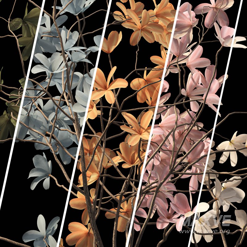 Indoor plant 075 - Image 5