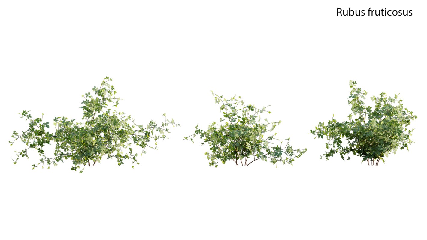 Collection 18 – Chinese garden - Image 37