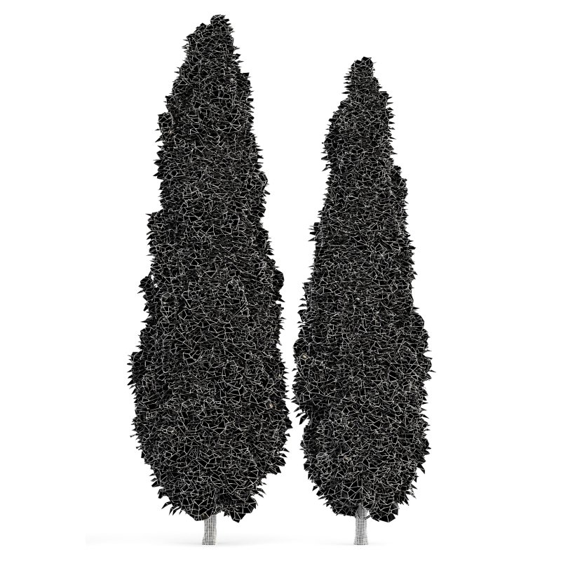 AV Water gum and Mediterranean Cypress 3Trees - Image 7