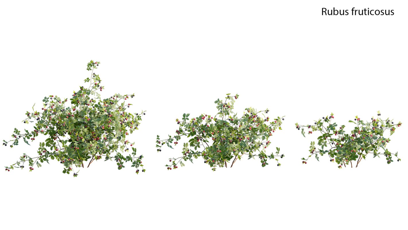 Collection 18 – Chinese garden - Image 33