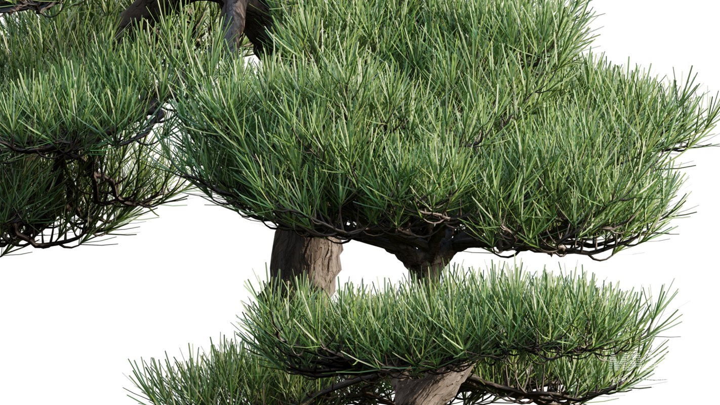 Collection 19 – Japanese garden - Image 39