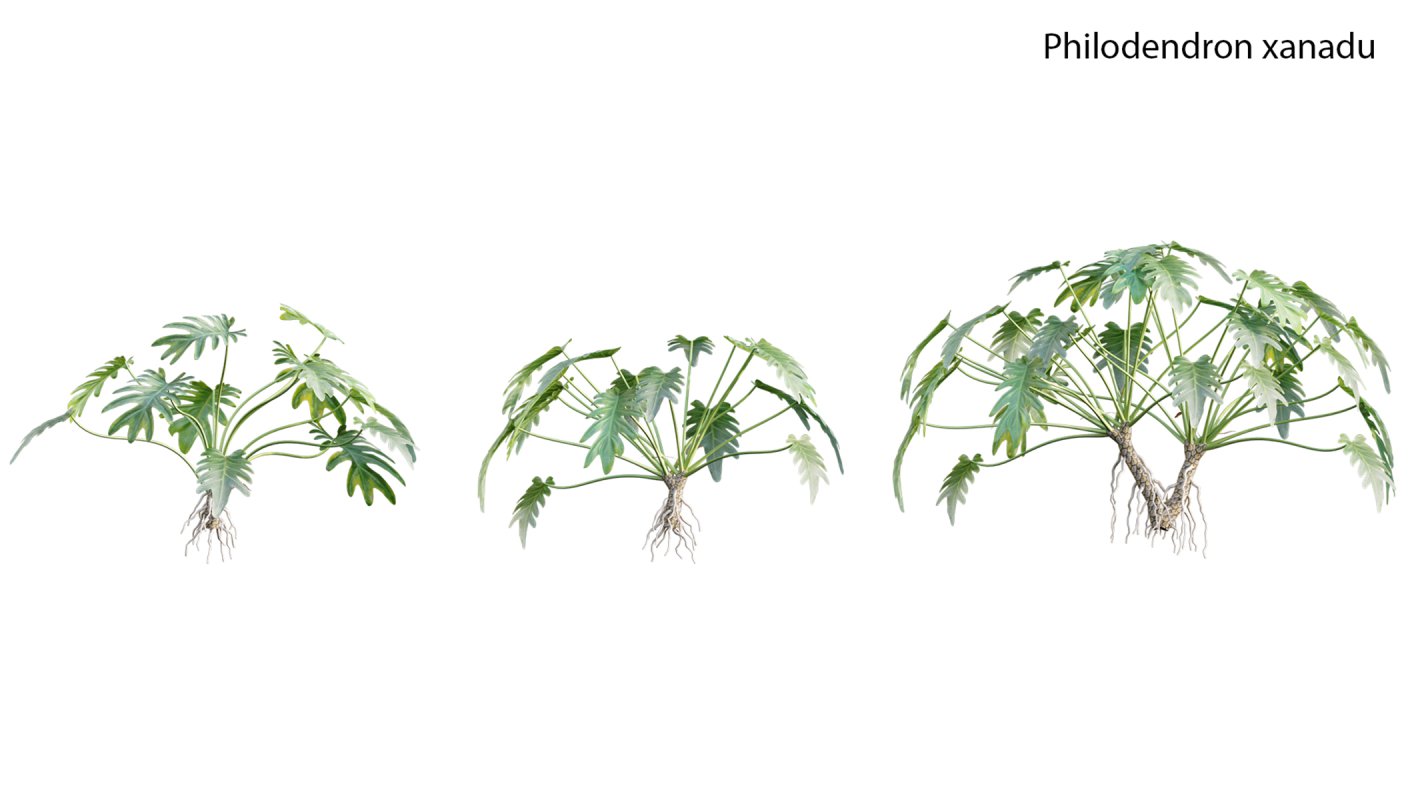 Collection 19 – Japanese garden - Image 31