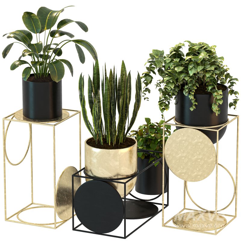 Modern Planters With Geometric Designs 02 - Image 7