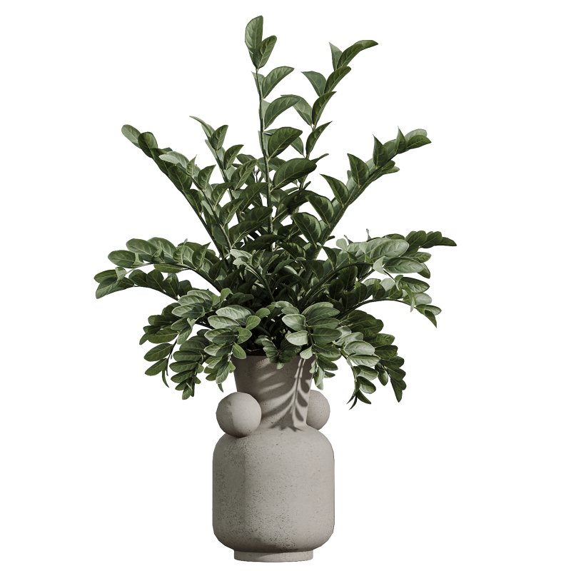 AV Indoor Plants Set 397 Zamiifolia and Giant Monstera and Dracaena Warneckii Lemon and Areca Palm - Image 4