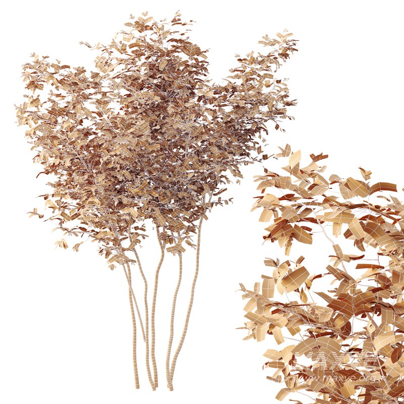 AV Plants Bush Small - Image 4