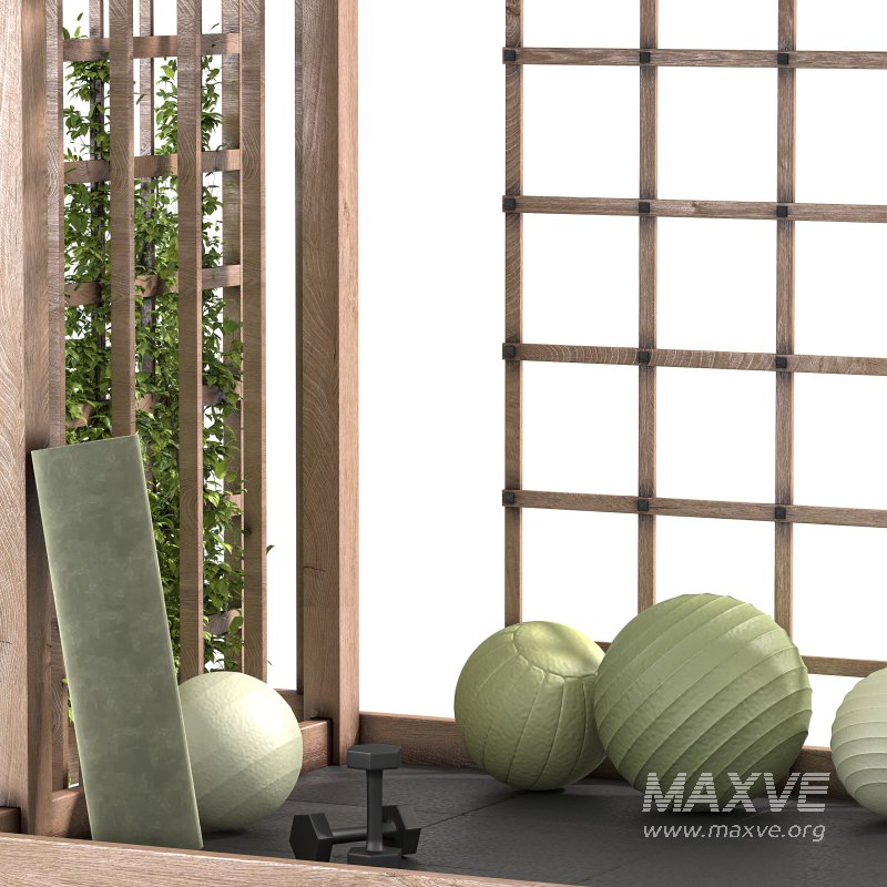 Garden Gym Design - Image 4