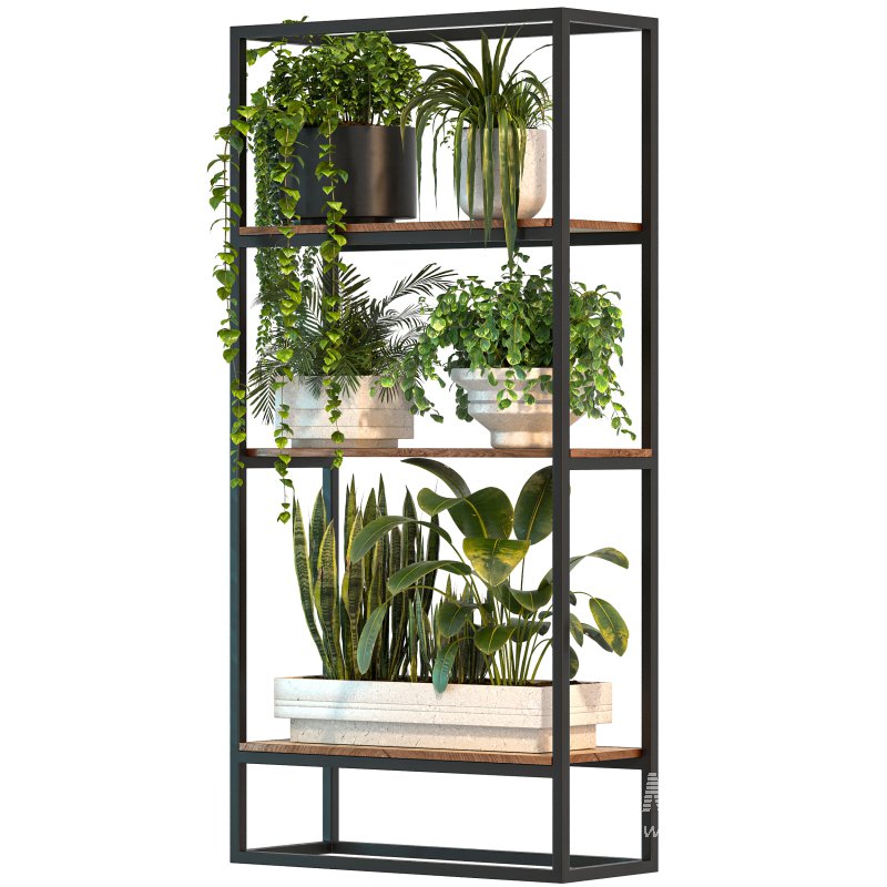 Metal Stand & Wooden Shelf Plant - Image 3