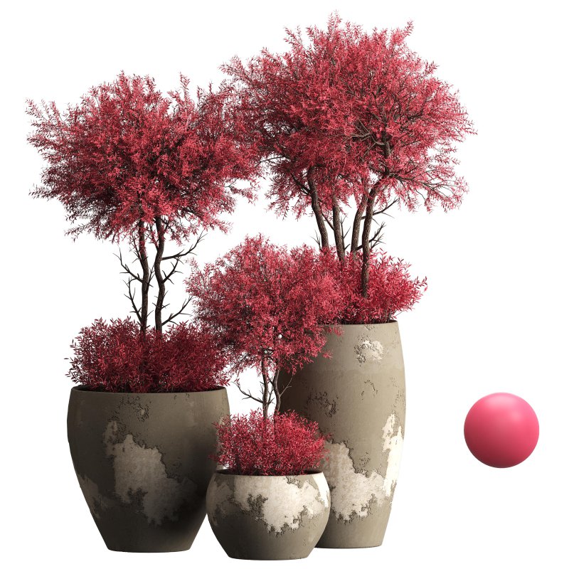 Indoor plant 074 - Image 7