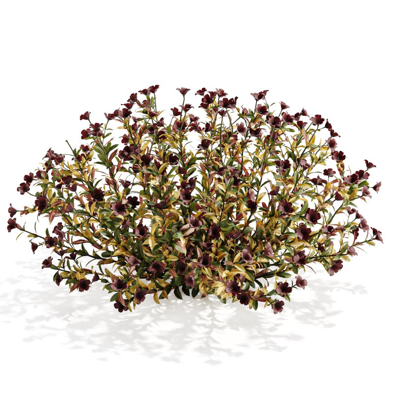Multicolor Phlox Bush Arrangement - Image 2
