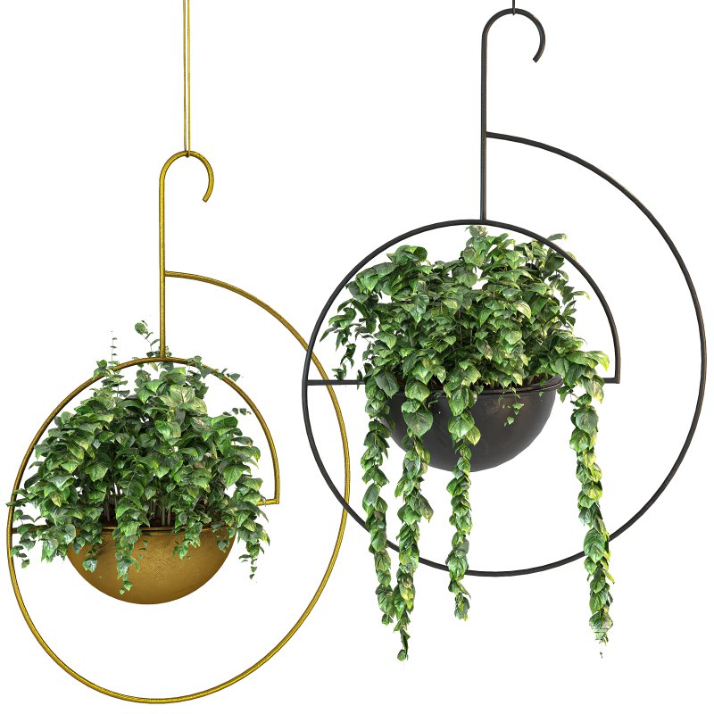 Metal hanging plants 06 - Image 2