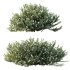 ntal shrubs designed for realistic landscape and architectural visualization. - Thumbnail 3