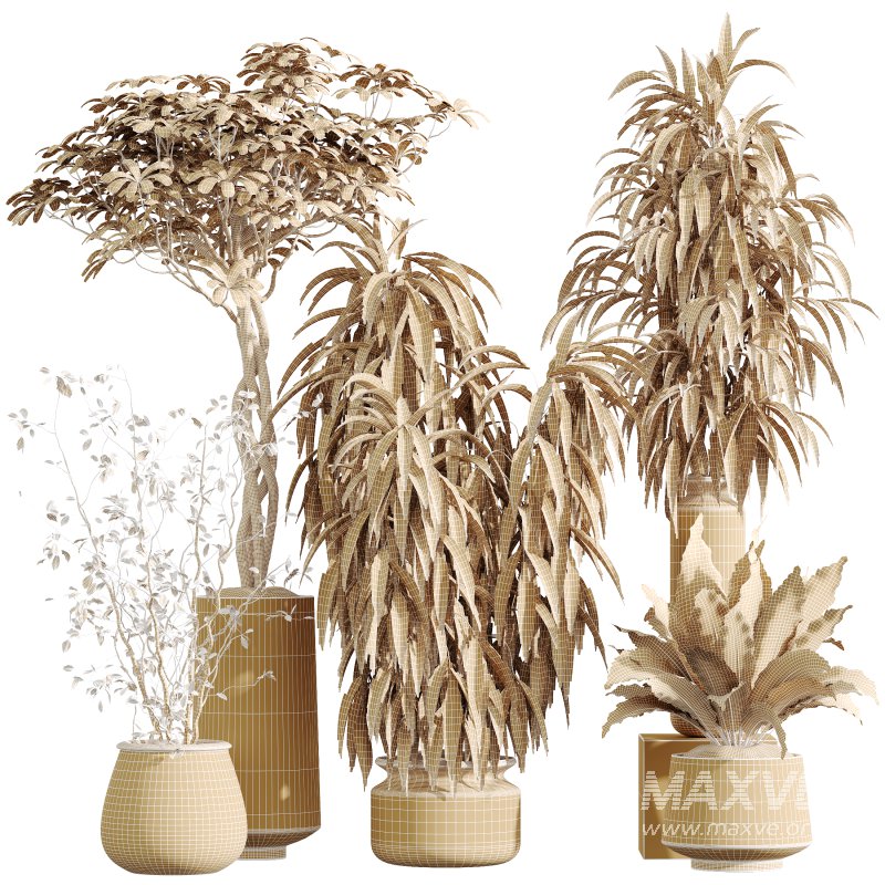 AV Indoor Plants Set 393 Spathiphyllum Wallisii and Ficus Binnendijki and Schefflera Arboricola and Japandi Decorative - Image 8