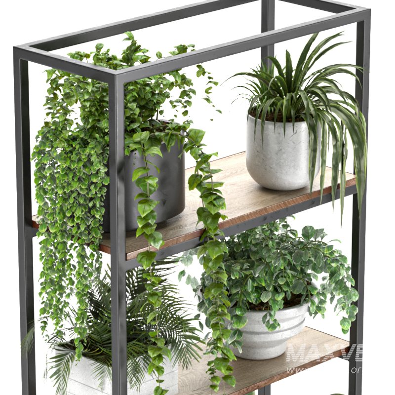 Metal Stand & Wooden Shelf Plant - Image 2