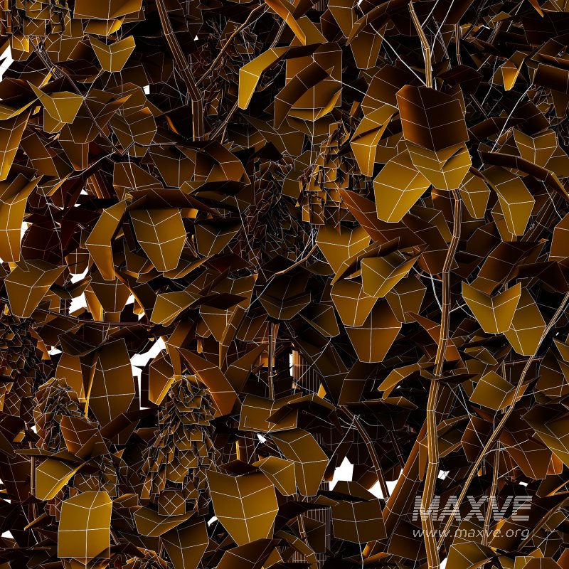 Lilac Syringa Vulgaris Tree 04 - Image 2