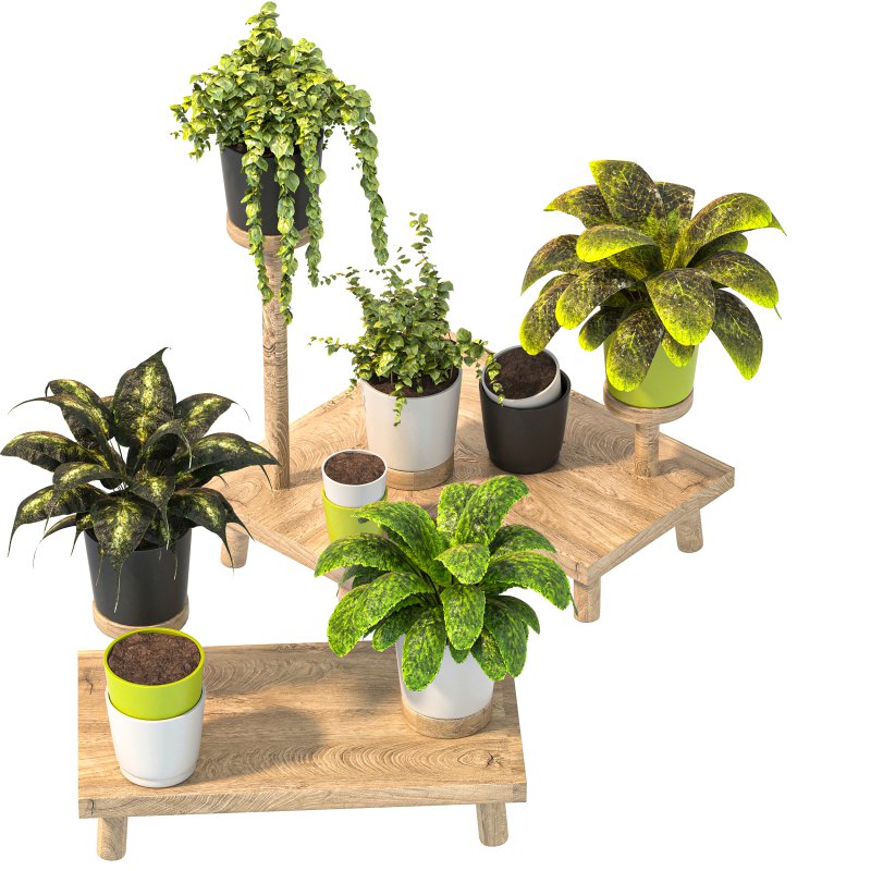 Wooden Stand Plant - Image 5