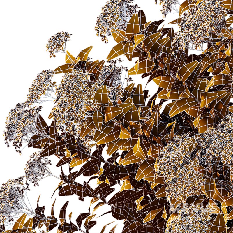 Spirea Japonica Bush 09 - Image 3