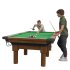 Playing Billiards - Thumbnail 5