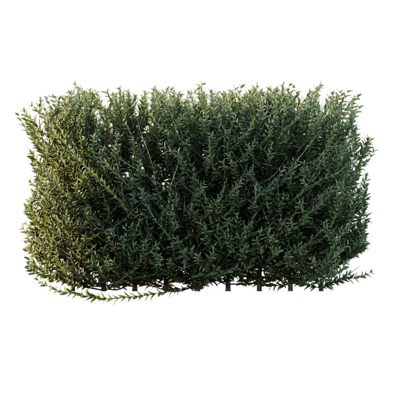 ntal evergreen shrubs, designed with exceptional precision for architectural visualization and landscape rendering. - Image 2