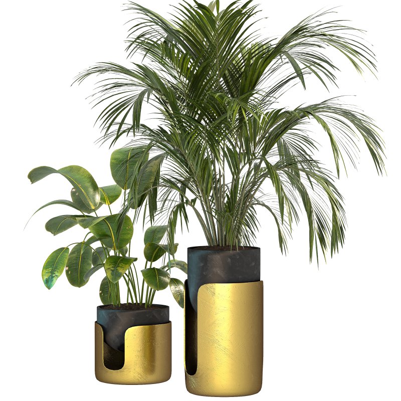 Plant Set 12 - Image 2