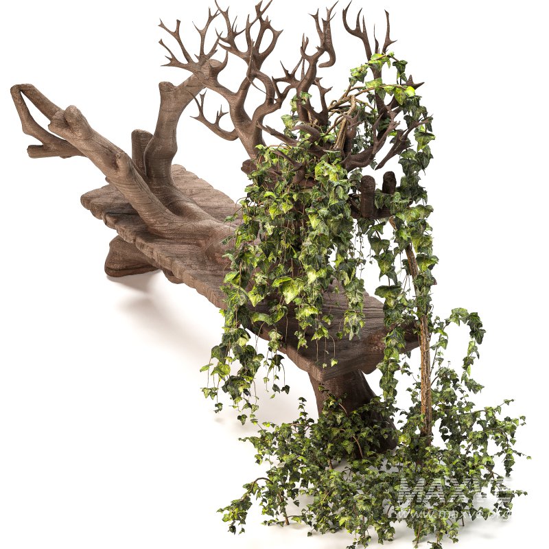 Wooden bench with English ivy - Image 6