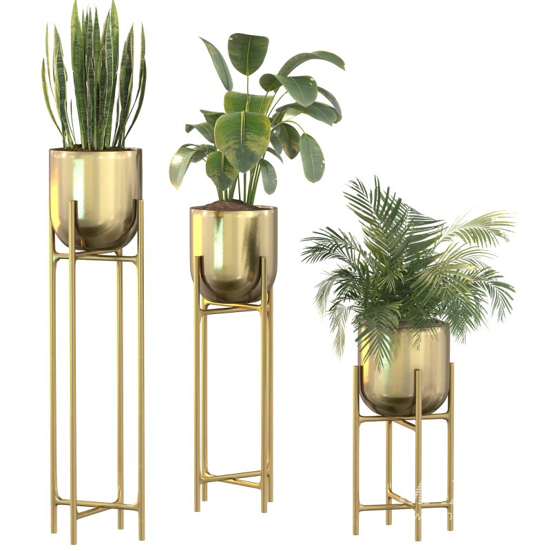 Metal Plant Set 06 - Image 9