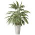 AV Indoor Plants Set 397 Zamiifolia and Giant Monstera and Dracaena Warneckii Lemon and Areca Palm - Thumbnail 13