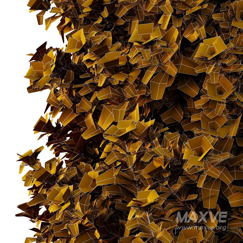 Leucophyllum frutescens Bush 09 - Image 3