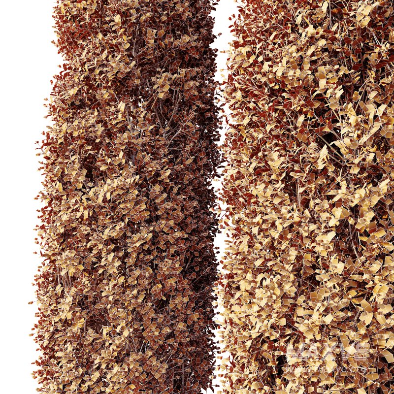 ntal shrubs, featuring four expertly pruned forms — columnar, conical, oval, and dome. Each model is crafted with high botanical accuracy to represent the elegance and precision of formal topiary design. - Image 5