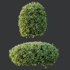 ntal shrubs, carefully crafted for high-quality landscape and architectural visualization. - Thumbnail 7