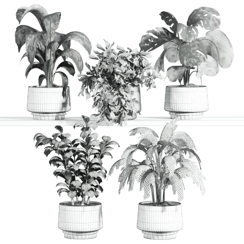 plants set on shelf - Image 3