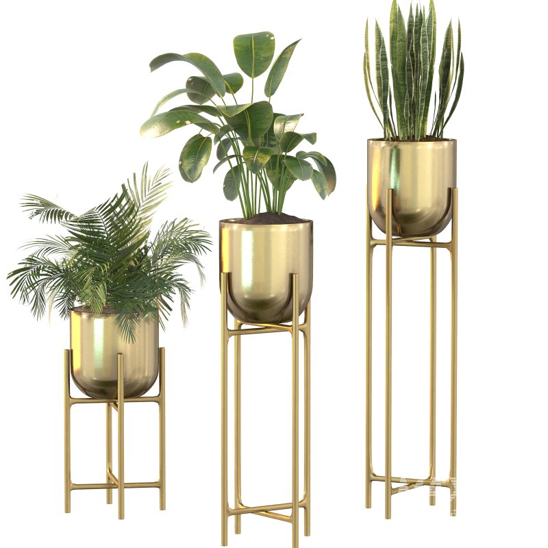 Metal Plant Set 06 - Image 8