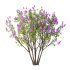 Lilac Syringa Vulgaris Tree 06 - Thumbnail 2