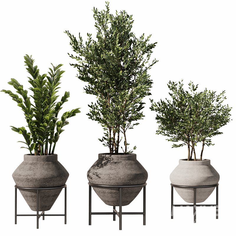 Indoor Plants Set 101 - Image 7