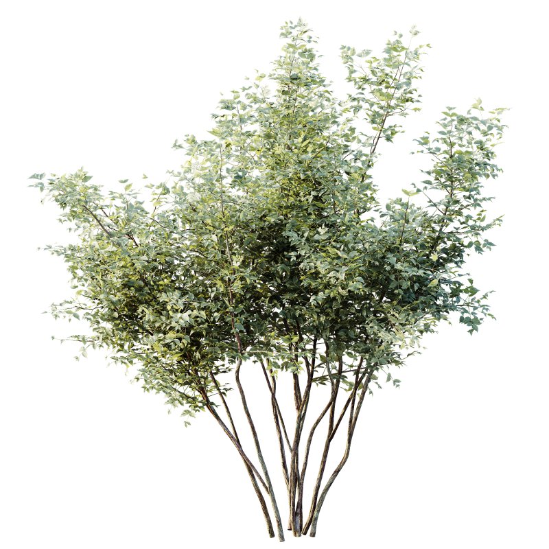 AV Plants Bush Small - Image 3