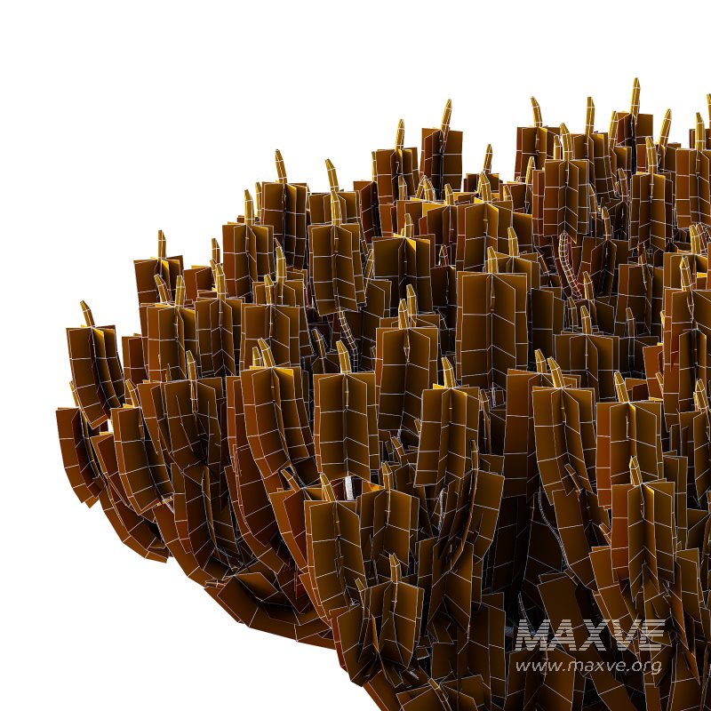 Pinus Mugo plant 07 - Image 3