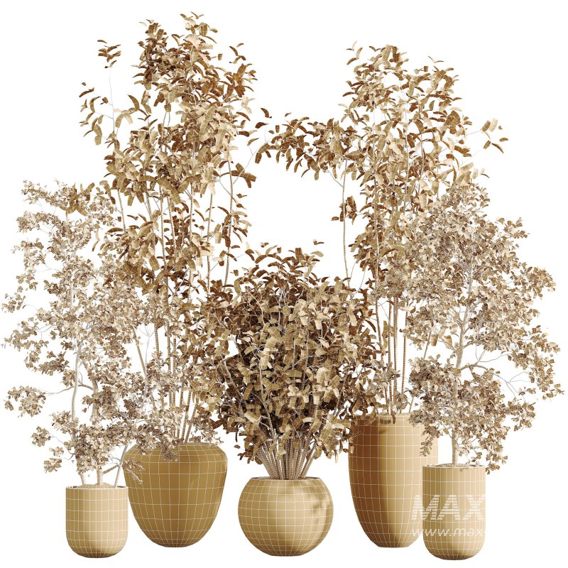 AV Indoor Plants Set 385 Europaea Olive Eucalyptus and Arbequina Olive - Image 6