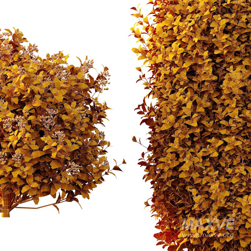 ntal shrubs, carefully crafted for high-quality landscape and architectural visualization. - Image 9