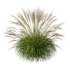 ntal grasses, designed for photorealistic landscape visualizations. - Thumbnail 6