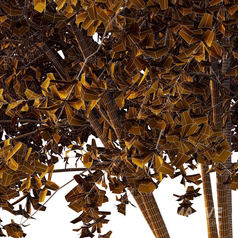 Leucophyllum frutescens Bush 06 - Image 5