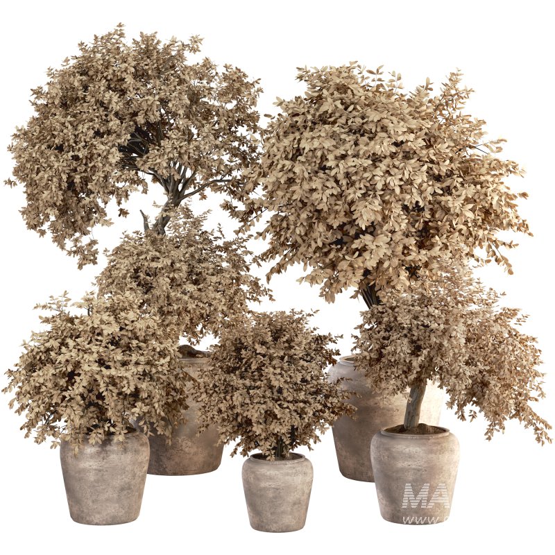 Indoor Plant Set 029 - Image 1