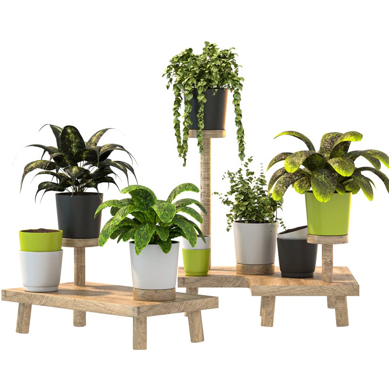 Wooden Stand Plant - Image 3