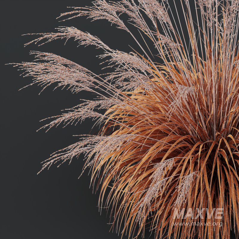 ntal grasses, designed for photorealistic landscape visualizations. - Image 10