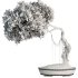 Bonsai Tree set7 - Thumbnail 2