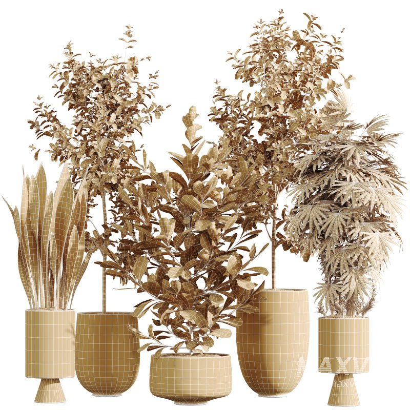 AV Indoor Plants Set 381 Rhapis Palm and Green Sansevieria and Ficus Microcarpa and Olive Eucalyptus - Image 6