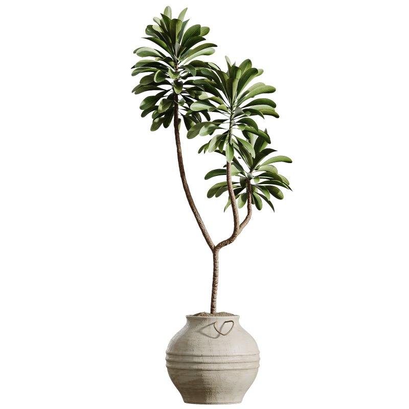 AV Indoor Plants Set 392 - Image 4